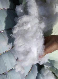 古棉，枕芯棉，丝绵，白棉长期供应