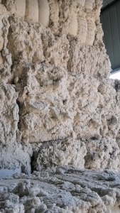 新疆纺纱厂下脚料，新疆三四五六级皮棉长期出售