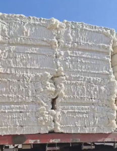 出售纯棉车肚，现货够车