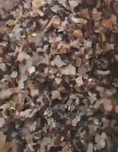 PVC钢丝管破碎料长期出售