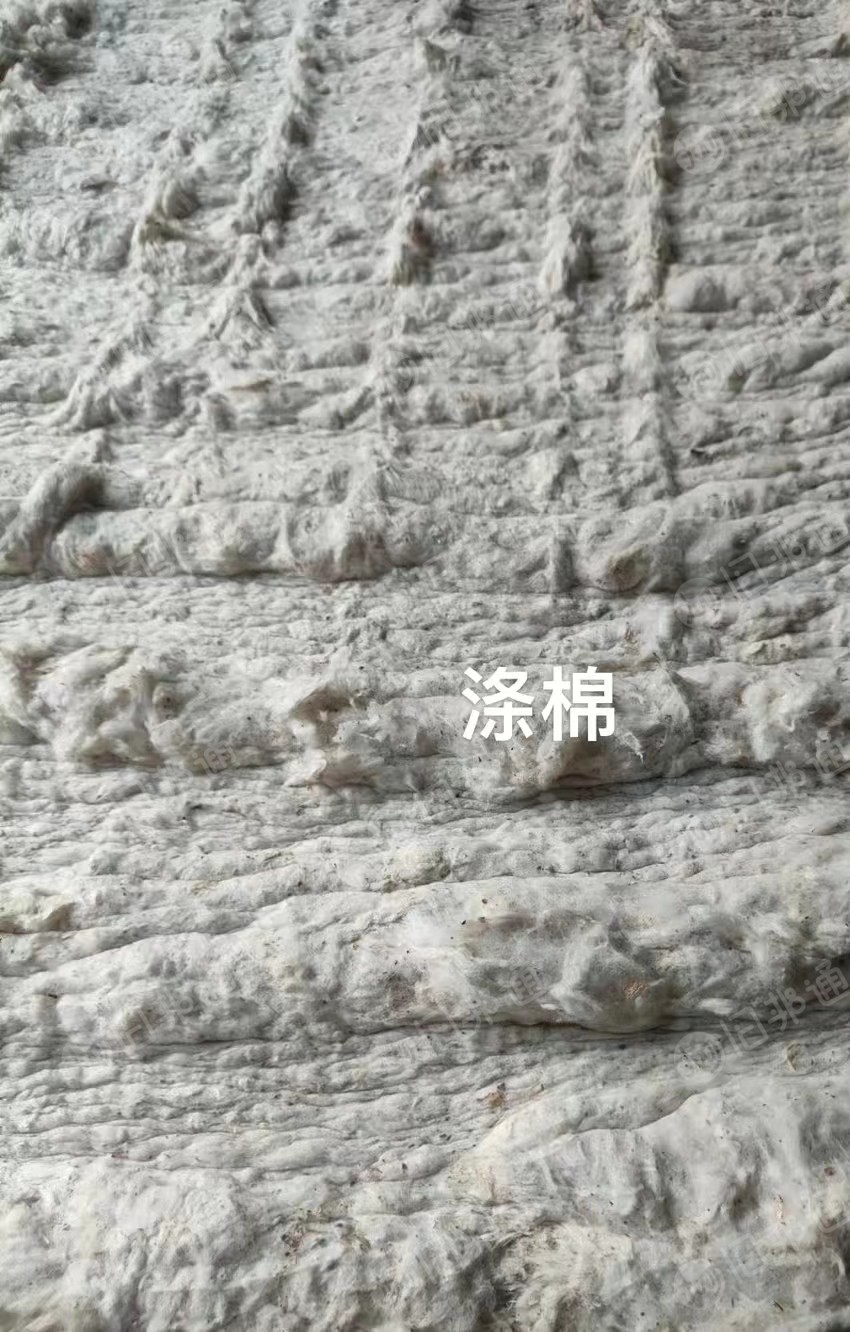牛仔开丝棉,灯罩棉,95棉,大化棉,长期大量出售