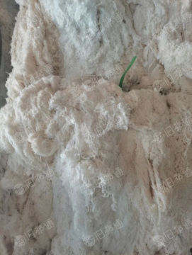 纯棉布边,涤棉布边长期出售