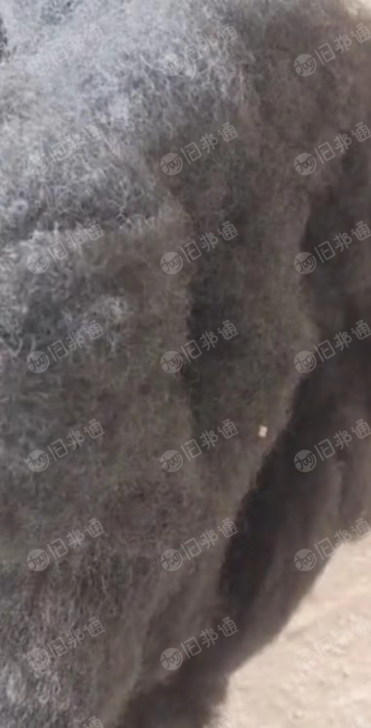 黑色化纤棉开花料,大量出售