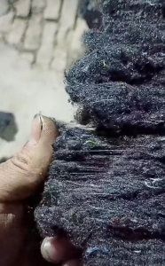 黑色开花棉，纺纱、针刺专用棉，大量出售