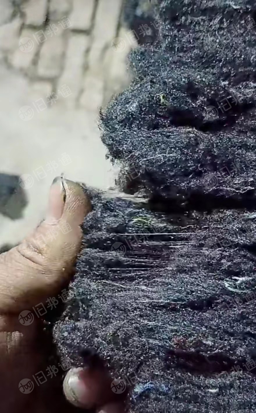 黑色开花棉,纺纱、针刺专用棉,大量出售