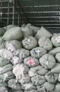 氨纶拉丝料，氨纶碎布料，大量出售