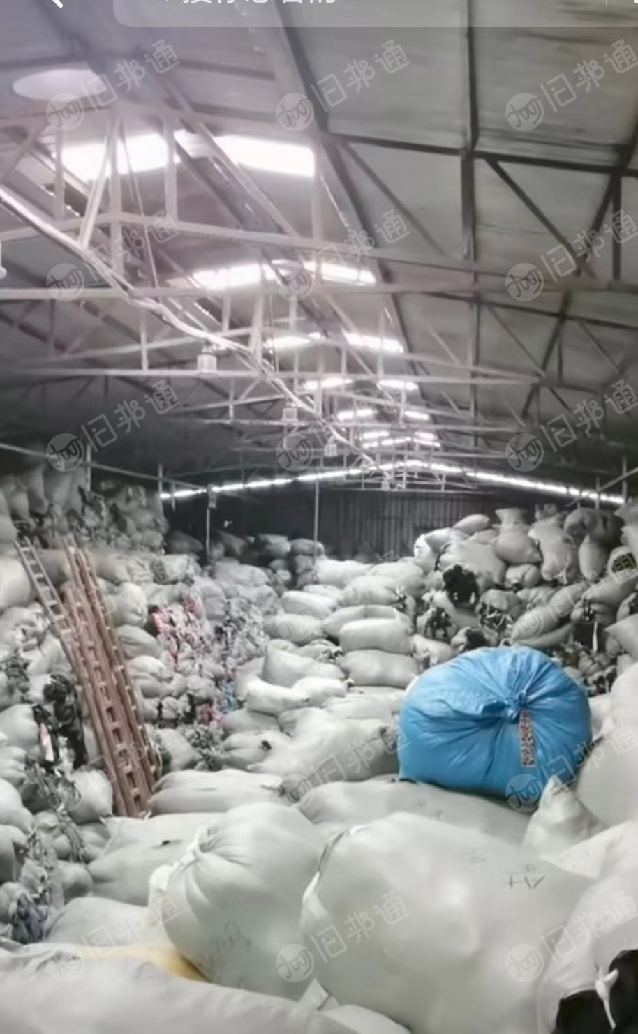 氨纶拉丝料,氨纶碎布料,大量出售