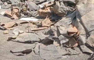 鱼塘藕塘黑塑料布废料出售