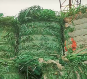 PET打包带毛料，塑钢带废料长期出售