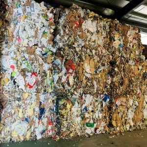 废杂纸大量现货出售