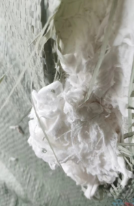 二白颜色萝卜丝大量现货出售