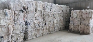 高价回收优质大白，装车打款