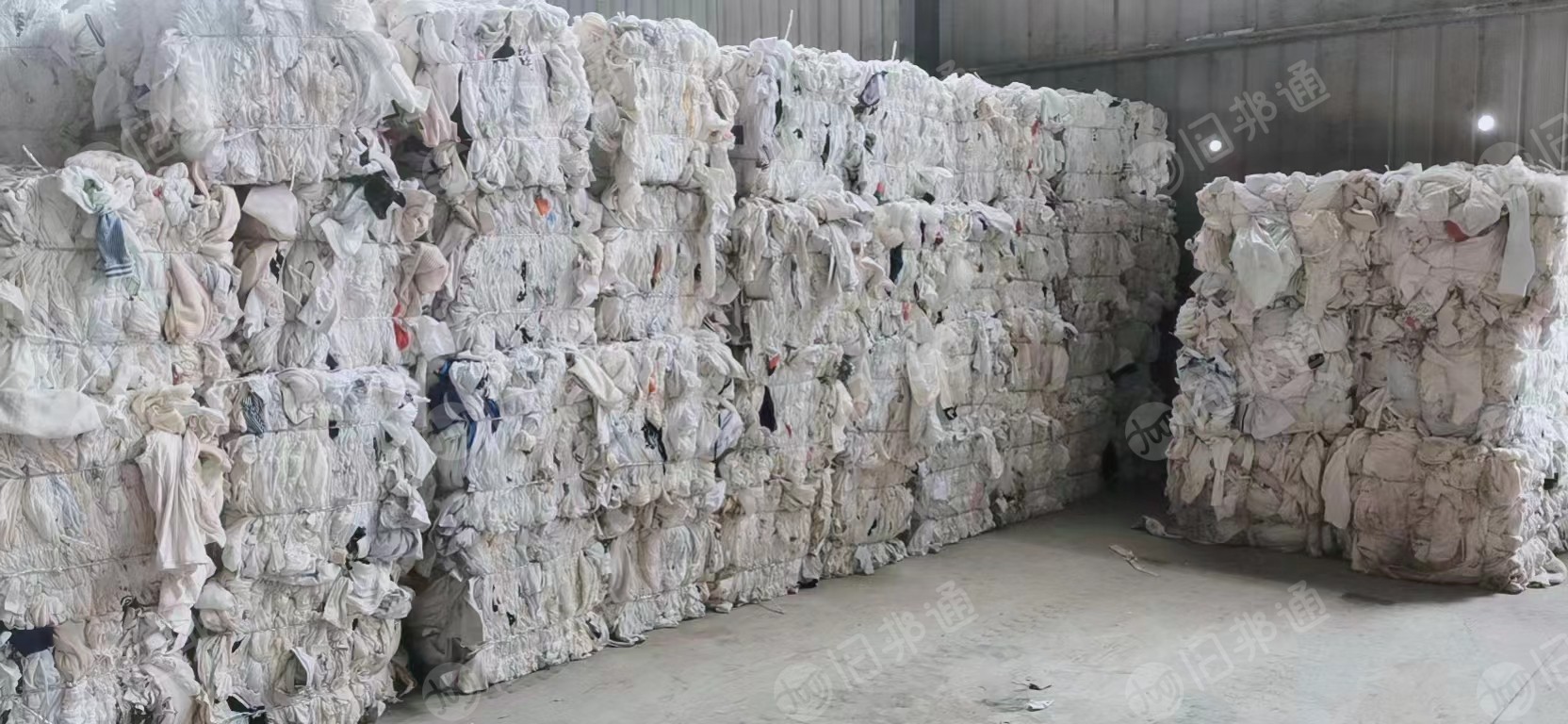 高价回收优质大白,装车打款