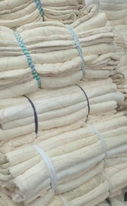 优质学生被9.6米一车出售