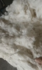 精品清弹棉，适用于棉被花，气流纺32支40支长期出售