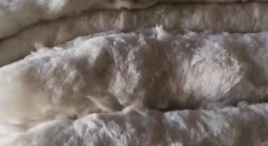 新疆包皮布开花棉长期出售