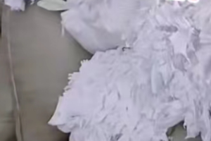 纯棉开花料，化纤开花料，涤纶开花料大量出售