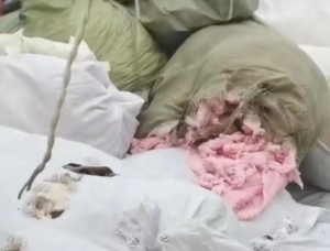 涤纶拉丝料，涤纶碎布，大量出售