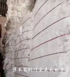 原木浆针叶浆皮长期有货