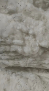 优质纯棉车肚出售，干净无杂