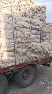 优质车肚湖北长期出售