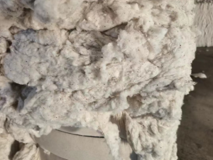 精梳40车肚月产1000吨出售