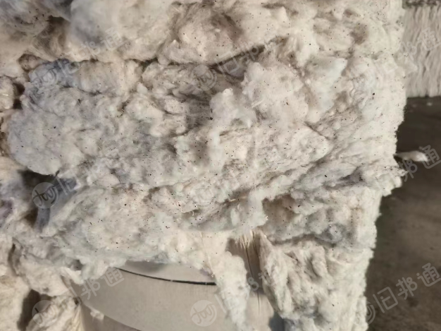 精梳40车肚月产1000吨出售