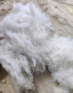 漂白风箱花，大量出售