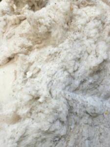 气流纺纯棉车肚色白15吨出售