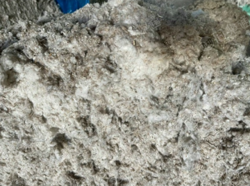 纯棉破籽15吨出售
