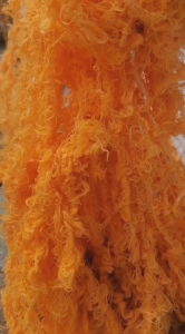 菊黄色化纤废丝出售