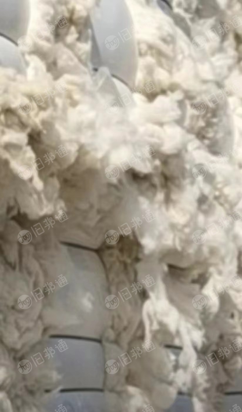 气流纺含天丝车肚,纯棉风箱花,鱼籽棉,大量出售