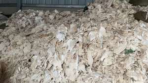 乳胶废料30吨低价处理