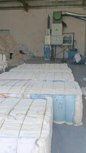 古棉开花料长期出售