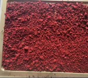 出售各种氨纶泡料，日产50吨