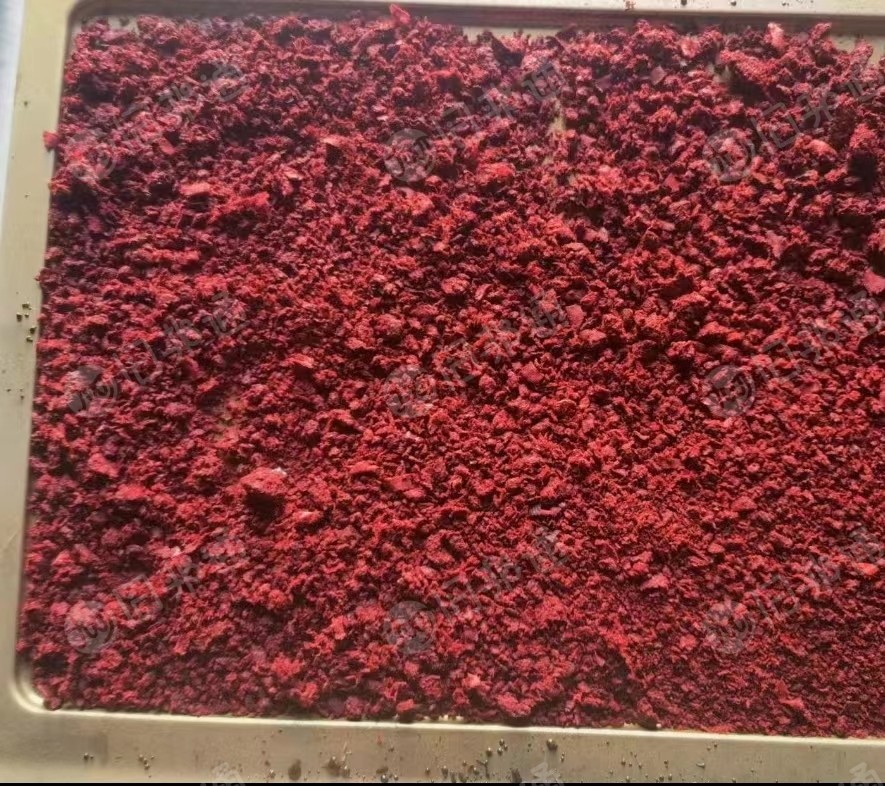 出售各种氨纶泡料,日产50吨