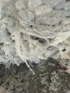 涤棉灰麻回丝60吨出售