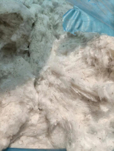 新疆五级棉长期供应