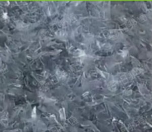 PET吸塑破碎料，B级拉丝用，一个月1000吨，广东惠州厂求购