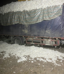 优质破籽棉长期大量供应