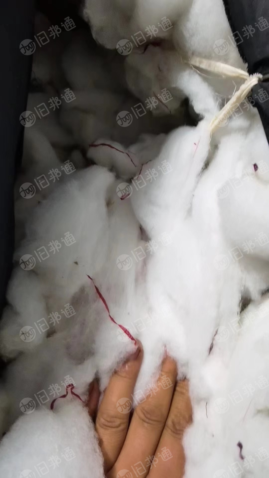 服装厂下来的弹力丝绵,大量出售