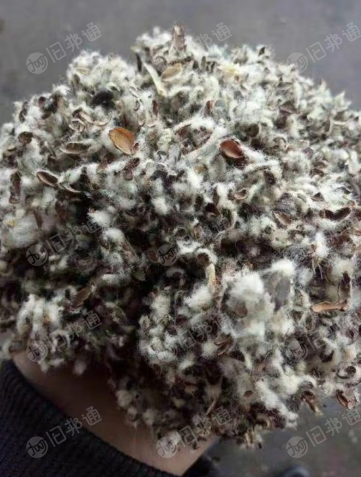 棉籽.棉粕.棉籽壳长期出售