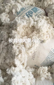 一级棉三级棉大量回收