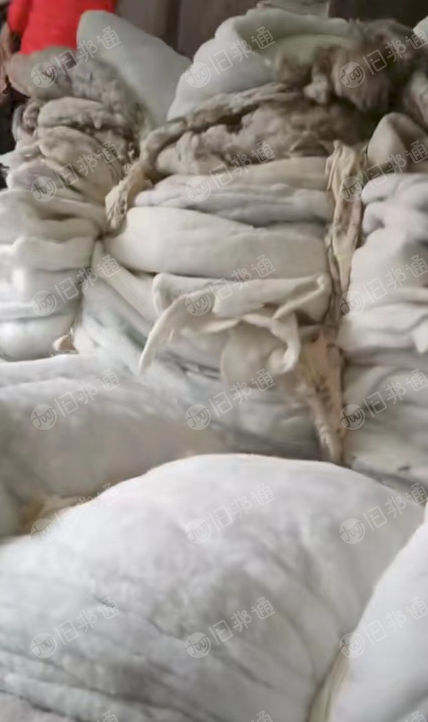 大量回收棉被,古棉,学生被,旧棉花等