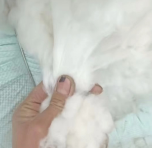 腈纶短绒无水分无杂质6吨出售