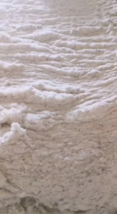 精梳落棉，车肚，破籽，提精棉长期回收