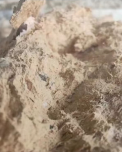 纸厂挤干尾浆出售