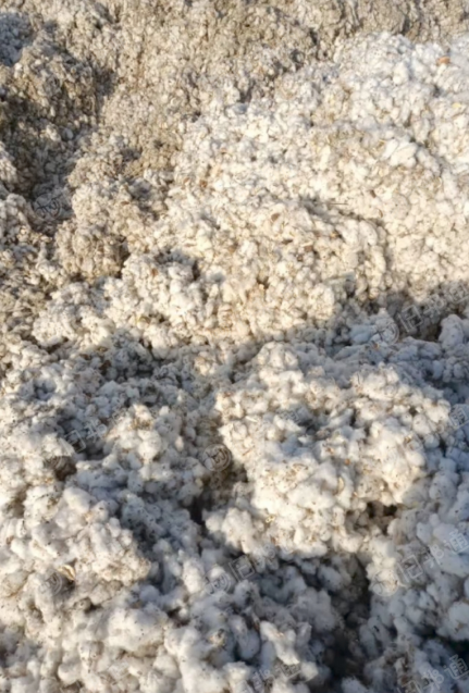 新疆棉花长期供应