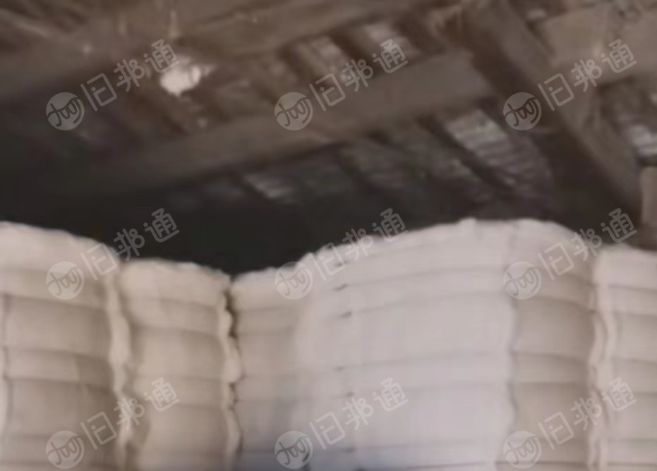 纯棉提净棉,十支棉纱,大量出售