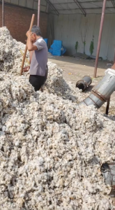 五级皮棉长期供